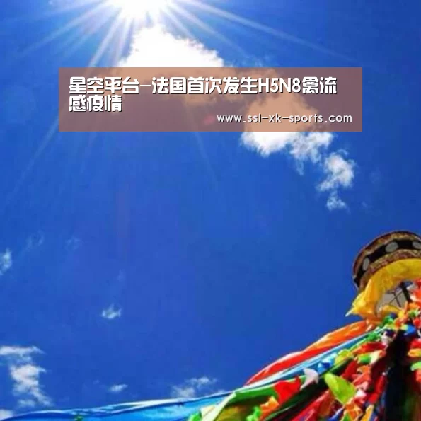 星空体育直播