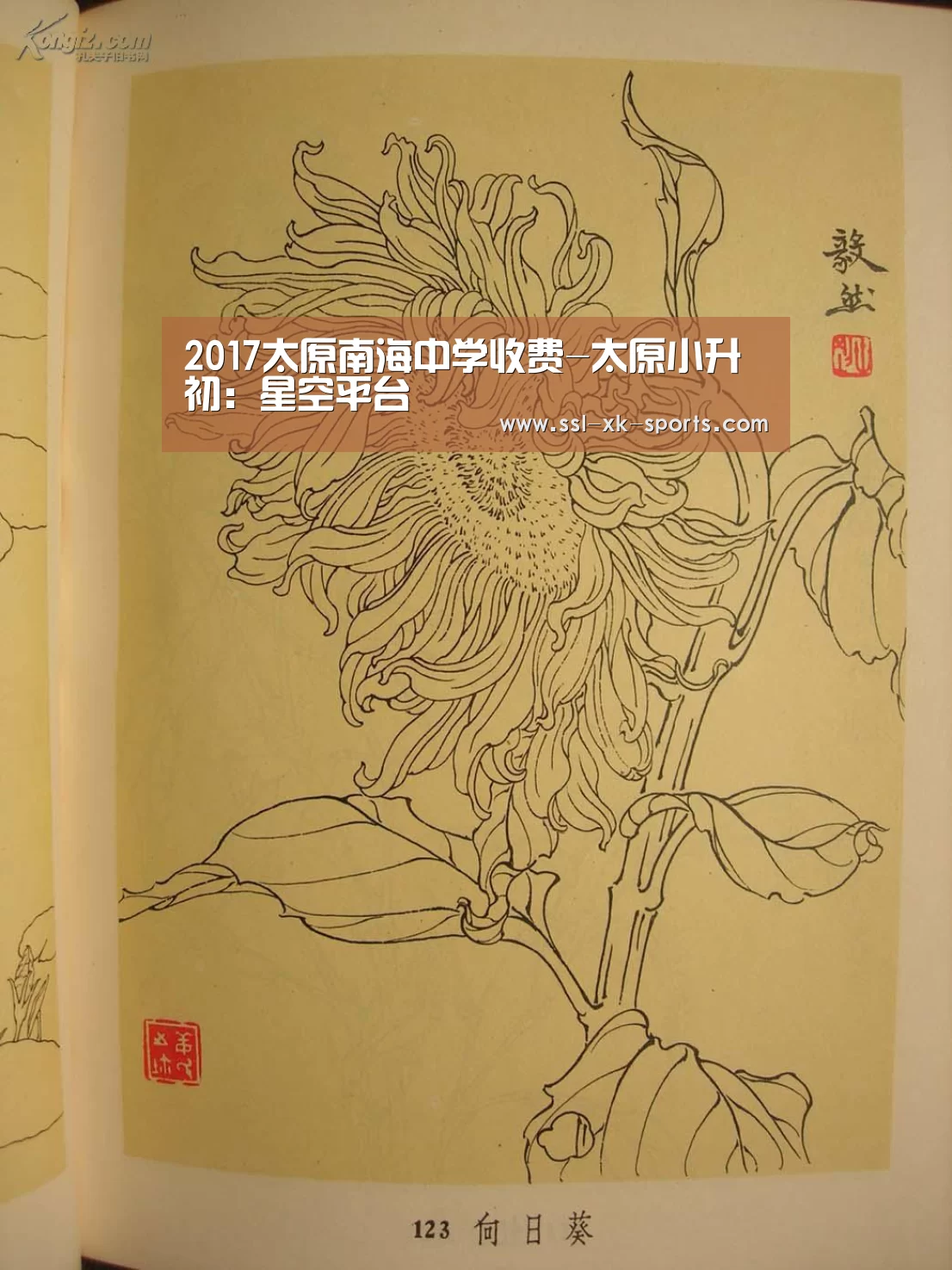 星空体育在线登陆
