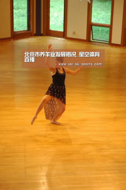 星空平台