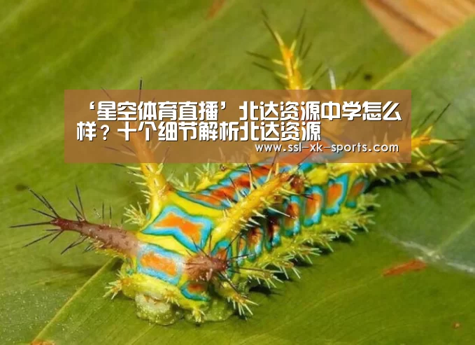 ‘星空体育直播’北达资源中学怎么样?十个细节解析北达资源(图2) 星空平台