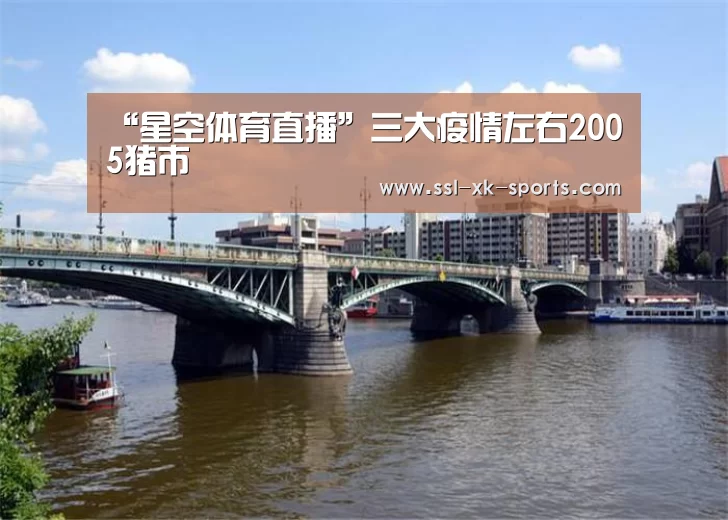 “星空体育直播”三大疫情左右2005猪市(图2) 星空体育在线登陆